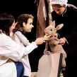 PIERRE LAPIN EST UNE FEMME